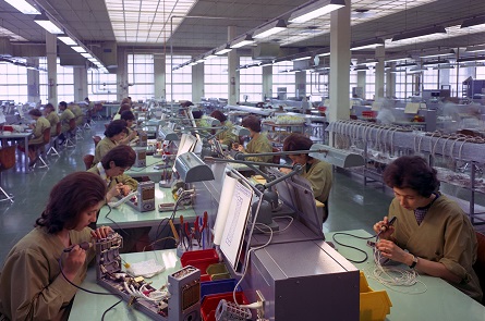 Euforia, tre giorni di proiezioni al Festival della Tecnologia