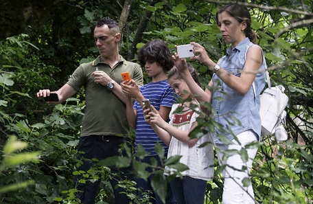Film e novità nei cinema a Torino da giovedì 25 giugno 2020