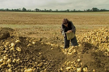 Il Consiglio di Oggi, mercoledì 24 giugno 2020
