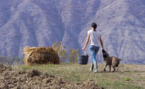 Il programma di Ortometraggi Film Festival