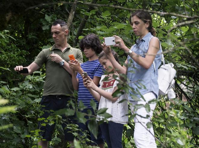Il Consiglio di Oggi, martedì 3 agosto 2021