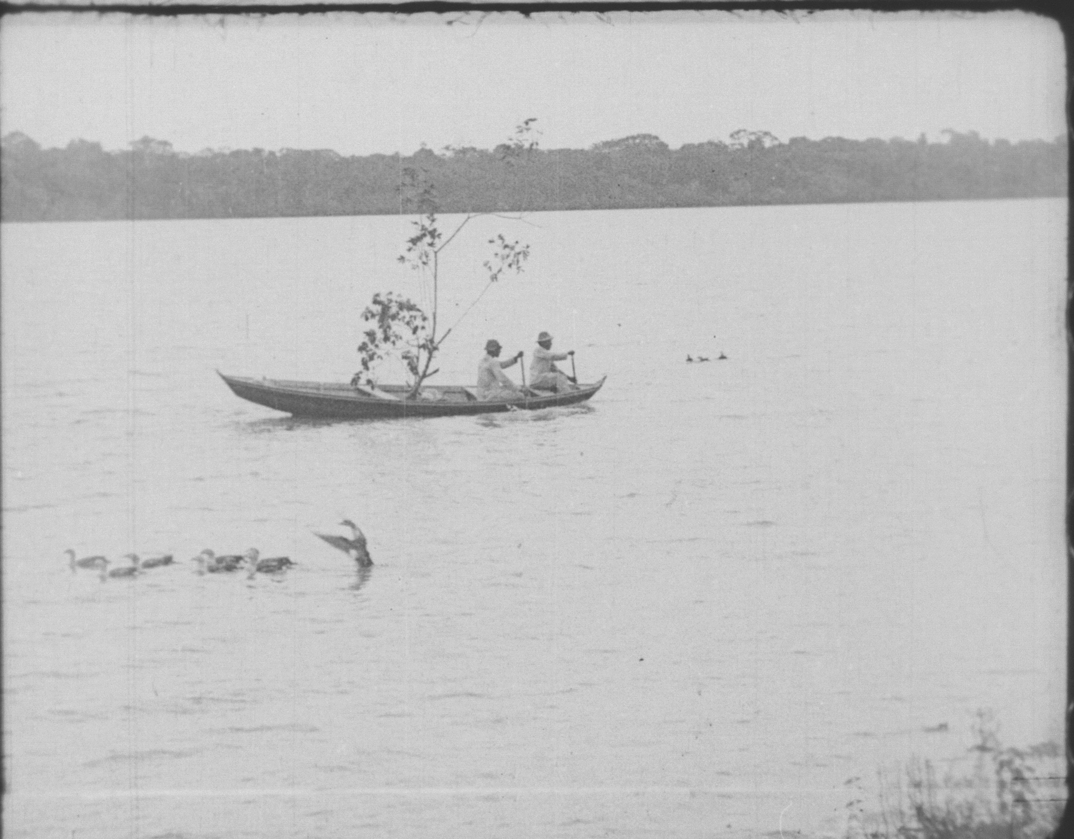 “Amazonas, maior rio do mundo” inaugura Cinemambiente 27