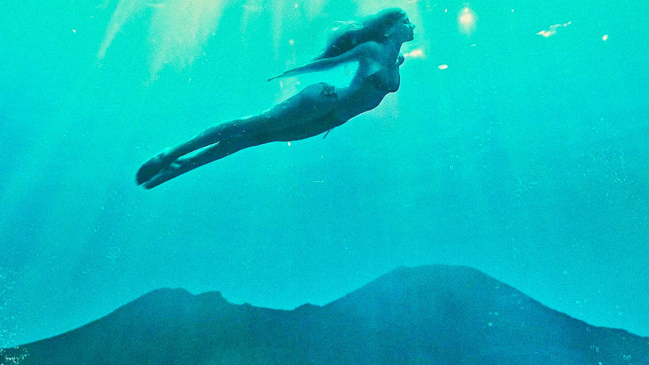 Film e novità nei cinema a Torino da giovedì 24 ottobre 2024