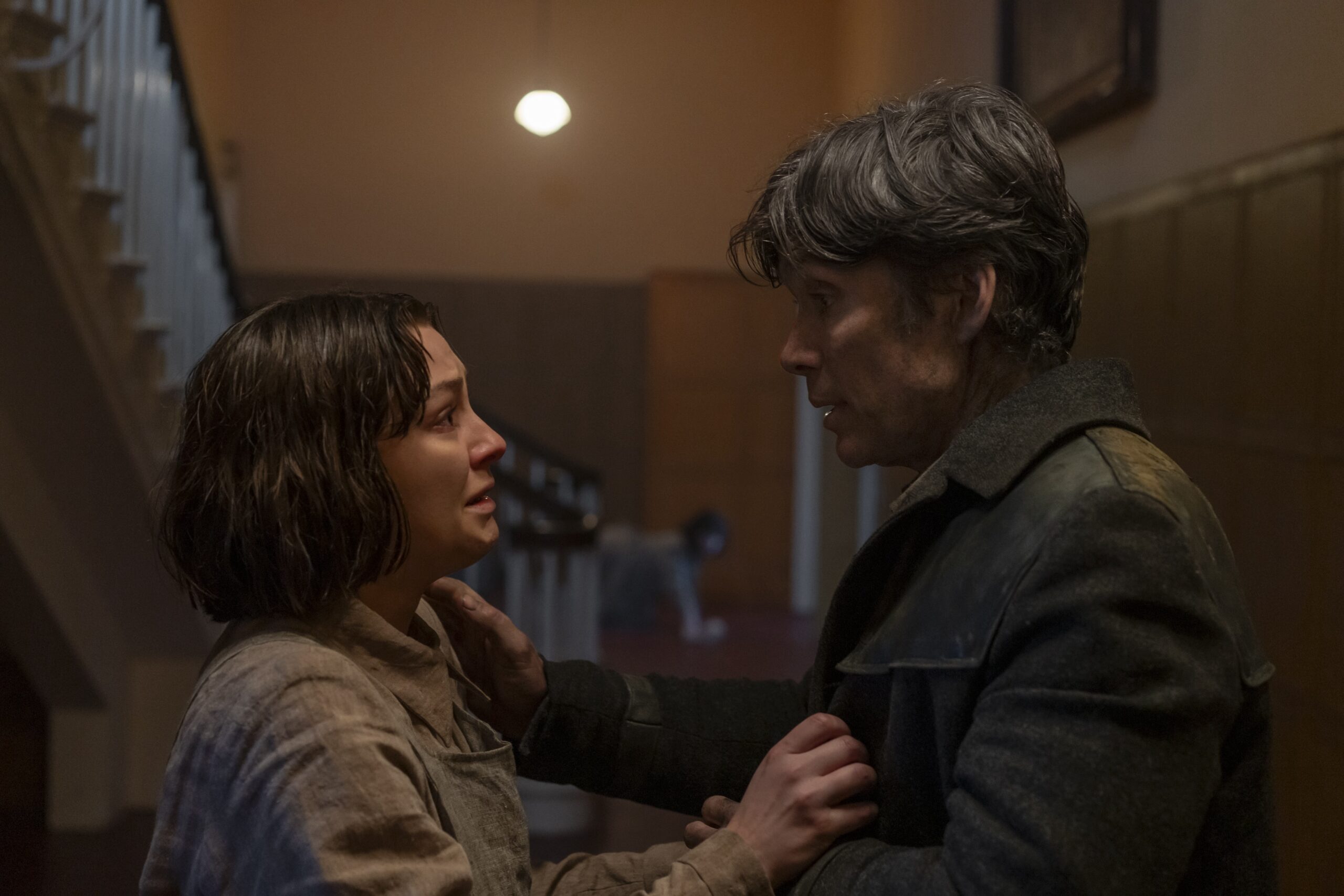 Film e novità nei cinema a Torino da giovedì 28 novembre 2024