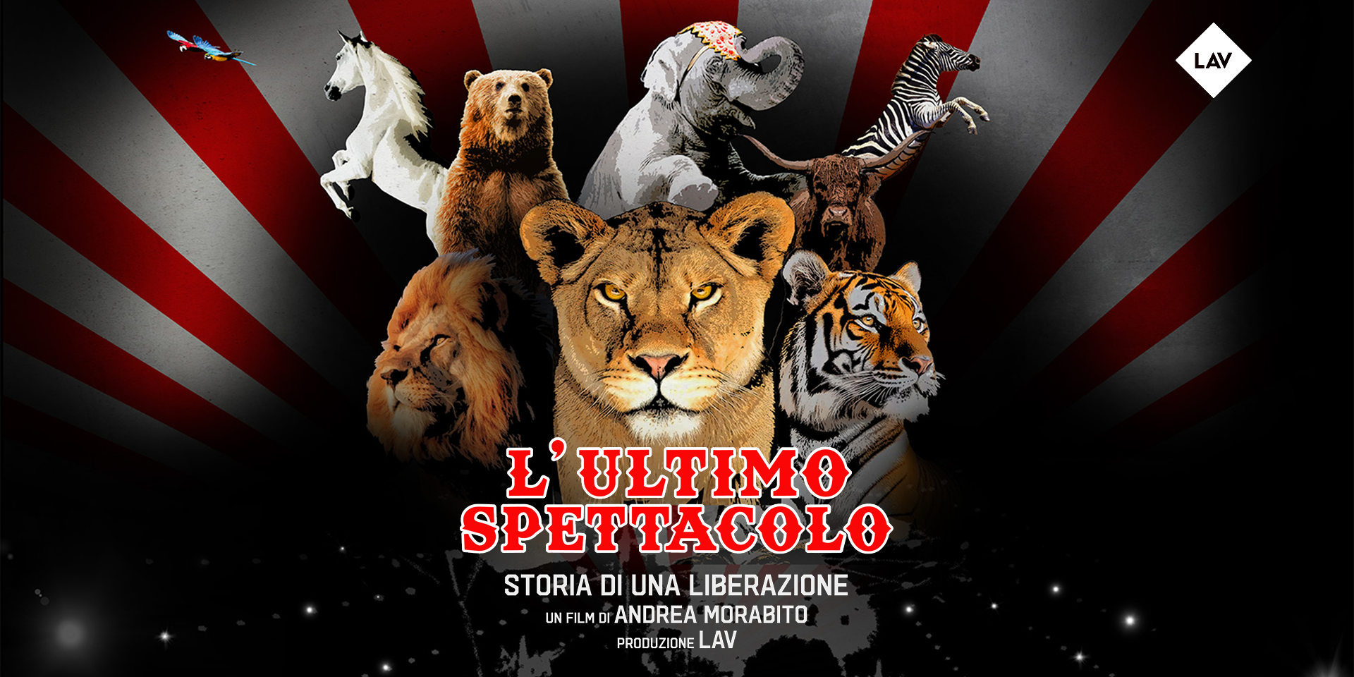 Andrea Morabito presenta “L’ultimo spettacolo” contro gli animali nei circhi